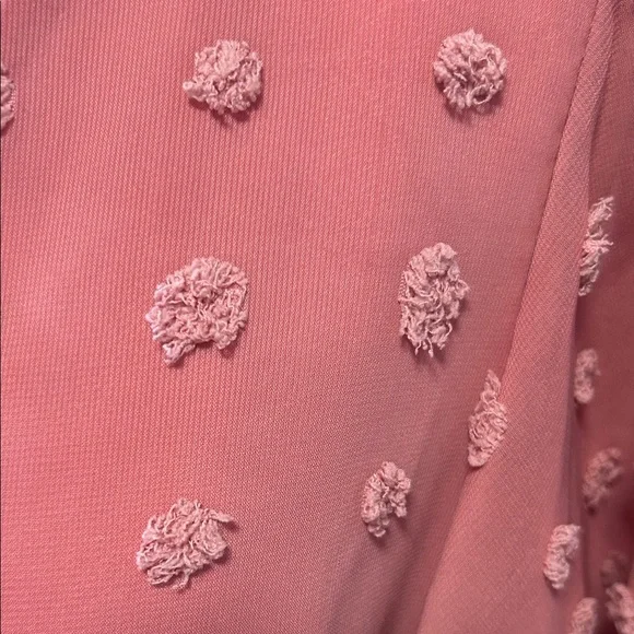 Dusty Rose Swiss Dot Ruffle Dress Size Small - Picture 4 of 8